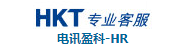 盈环网络技术（上海）有限公司重庆永川分公司